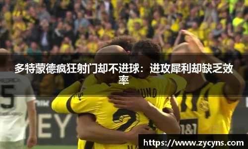 zoty中欧官网