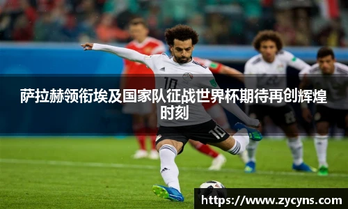 zoty中欧官网