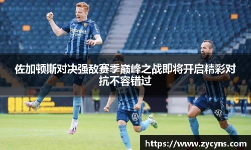zoty中欧官方网站
